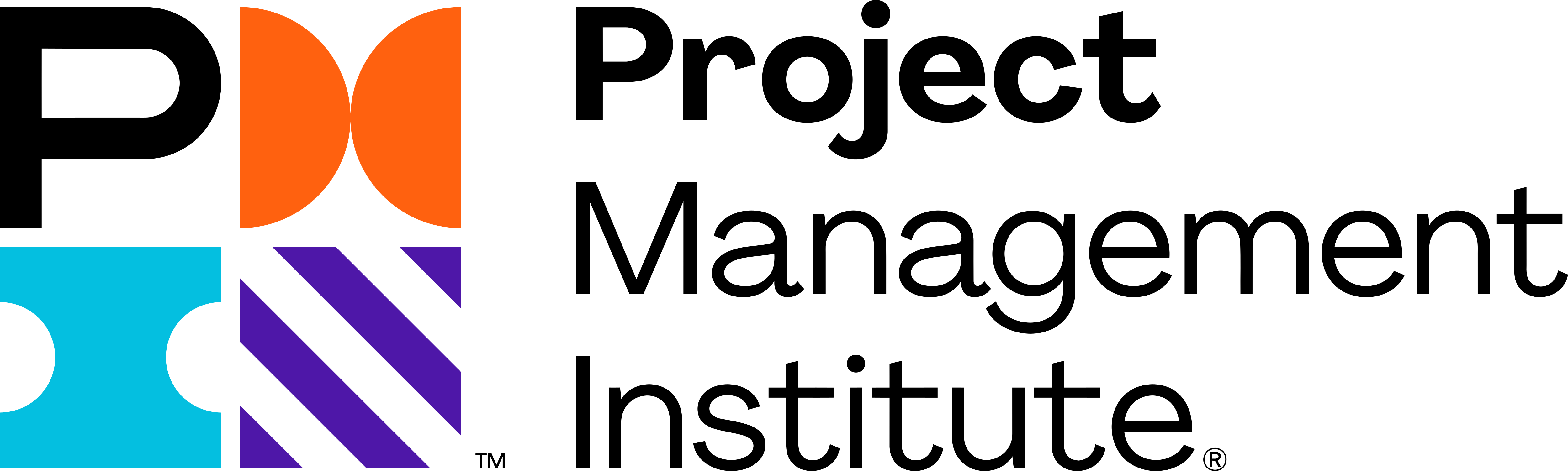 PMI Logo